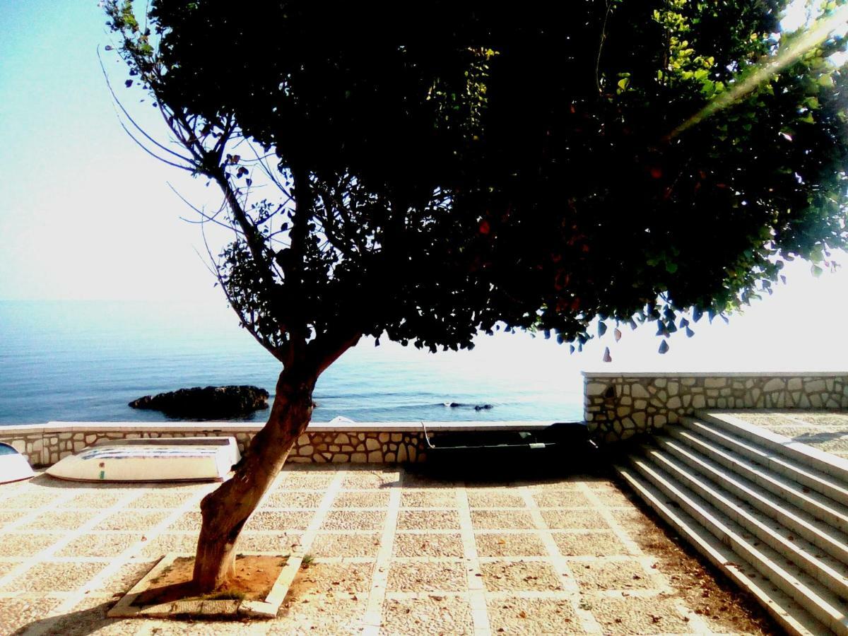 特拉帕尼San Liberale Sul Mare公寓 外观 照片